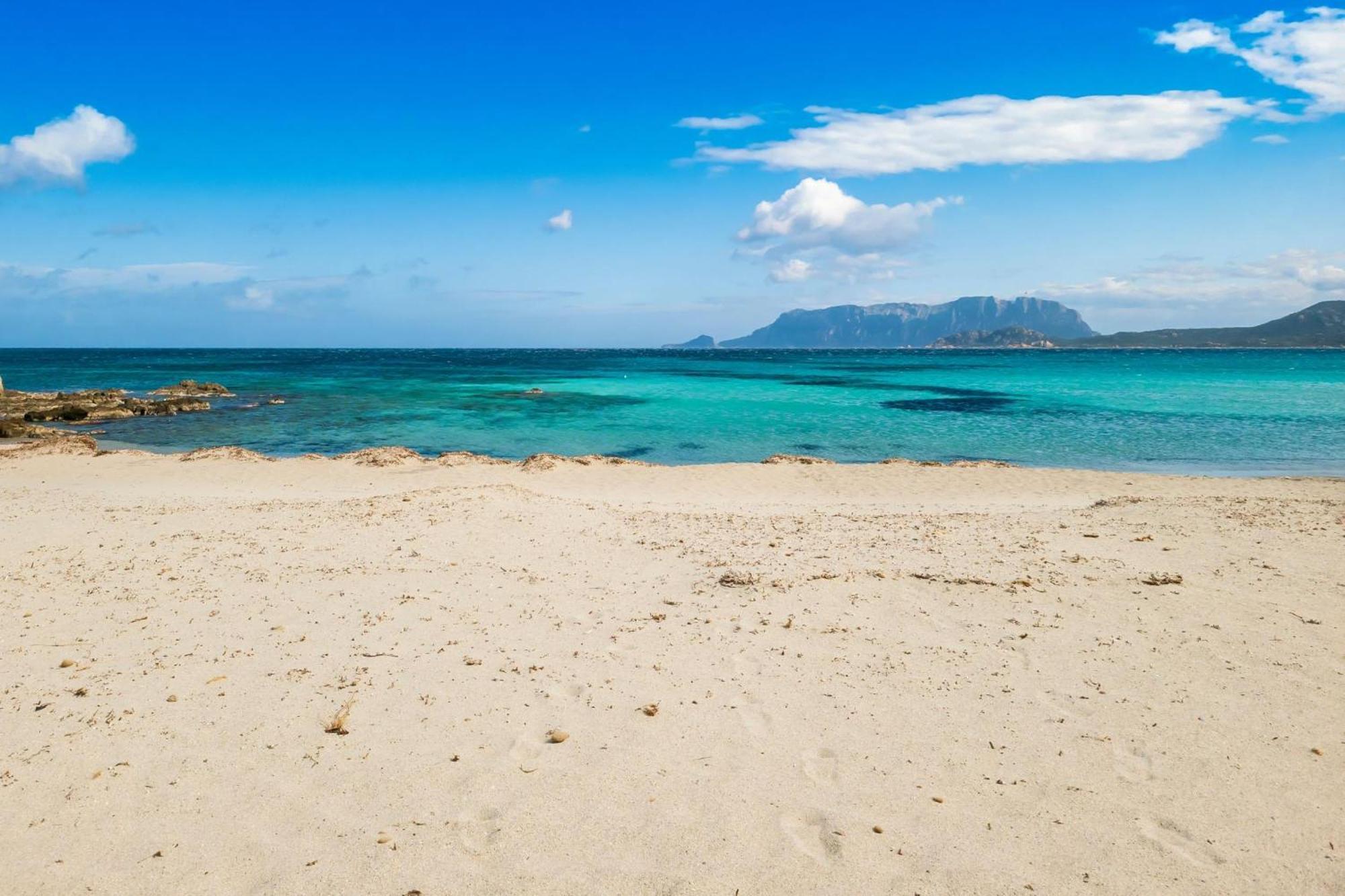 Dimora Di Rosy Pittulongu - Happy Rentals Olbia Extérieur photo